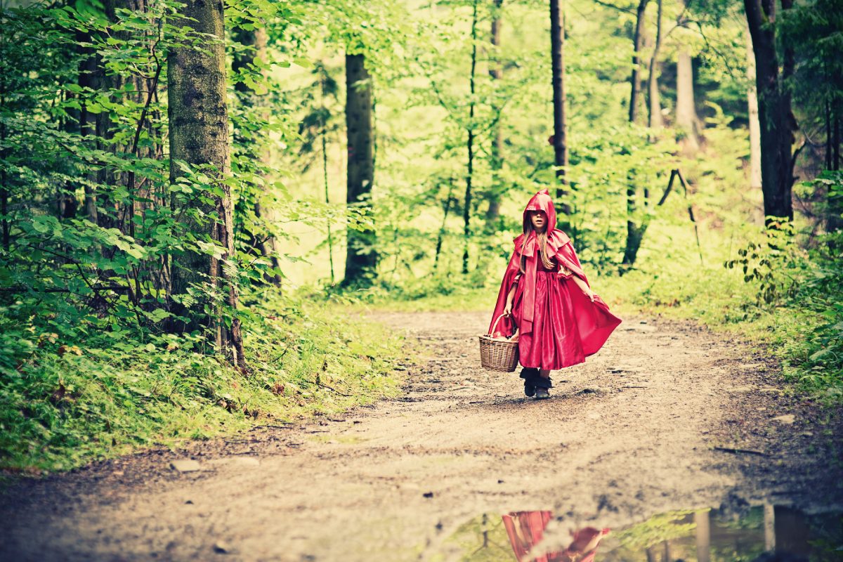 Caperucita Roja: un cuento, innumerables adaptaciones - Ruta Maestra