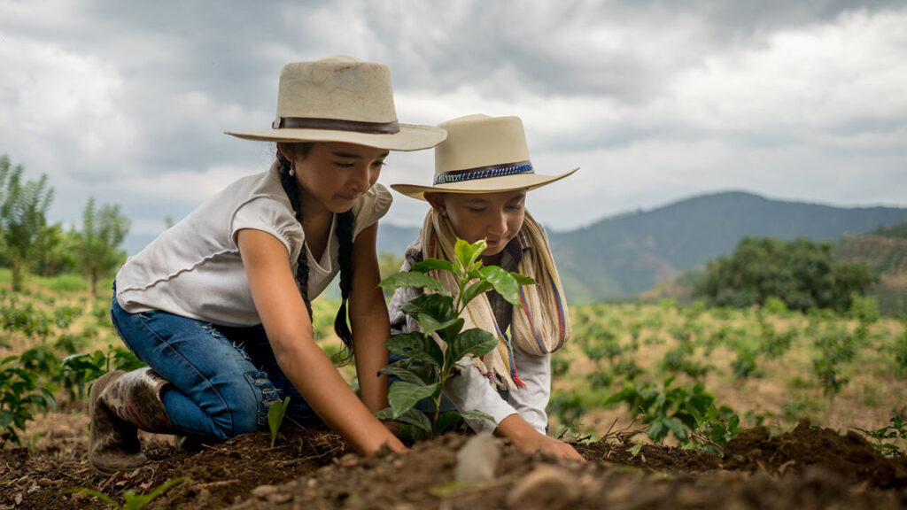 Sembrando futuro: jóvenes rurales formando empresa - Ruta Maestra